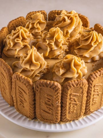 lotus biscoff cake with biscoff buttercream on a white plate.
