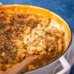 A scoop of creamy pasta with cheese.